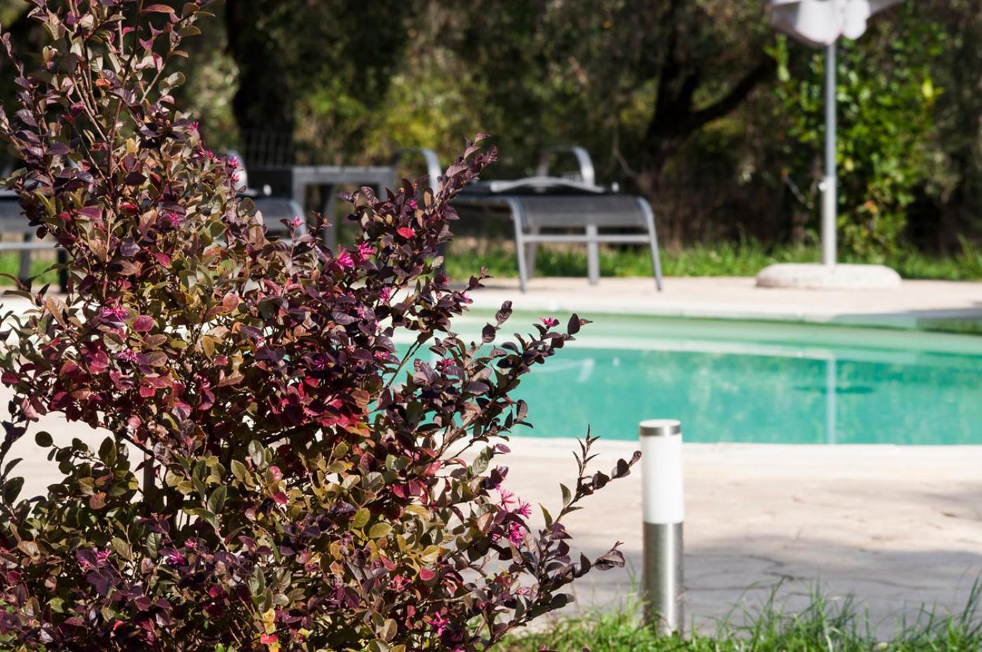 Agriturismo Tenuta Roccaccia Питильяно Экстерьер фото